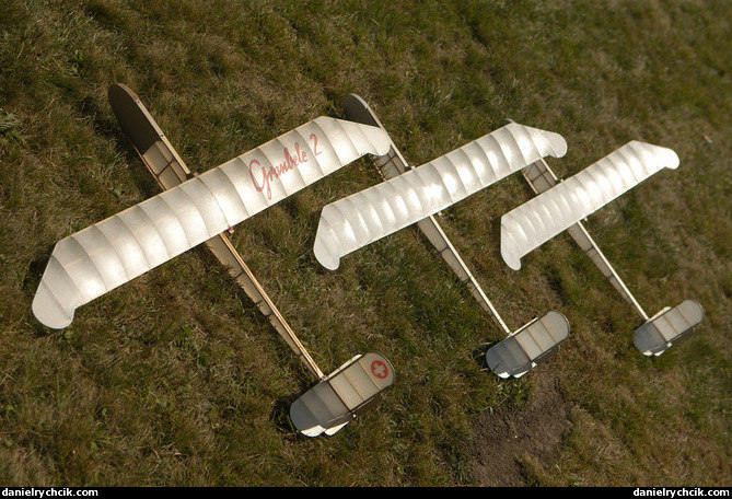 Gliders RC