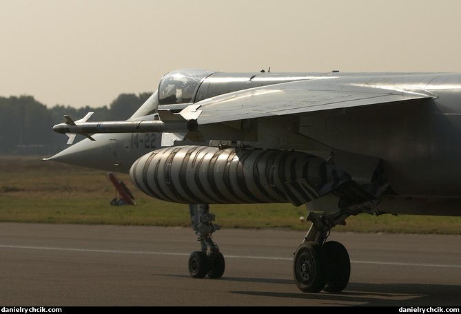 Mirage F1 (Spanish Air Force - Tiger Meet colours)