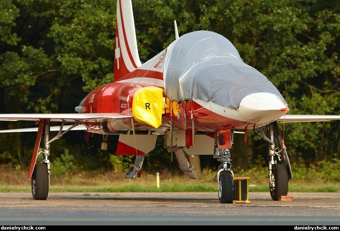 Northrop F-5E Tiger (Patrouille Suisse)