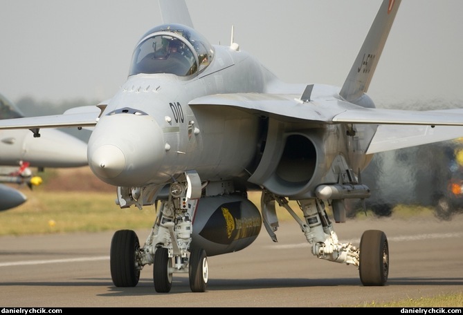 F/A-18C Hornet (Swiss Air Force)