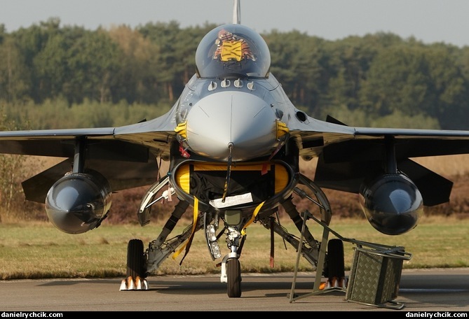 F-16C Falcon (Belgian Air Force - Tiger Meet colours)