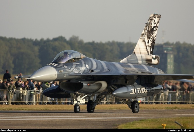 F-16C Falcon (Belgian Air Force - Tiger Meet colours)