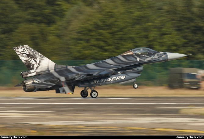 F-16C Falcon (Belgian Air Force - Tiger Meet colours)