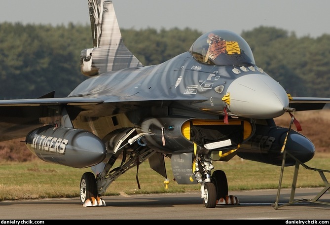 F-16C Falcon (Belgian Air Force - Tiger Meet colours)