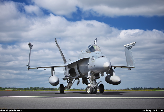 McDonnell-Douglas F/A-18C Hornet (Swiss Air Force)