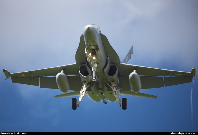 McDonnell-Douglas F/A-18C Hornet (Swiss Air Force)