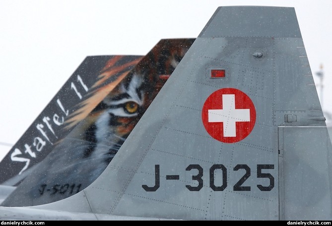 F-5E Tiger and F/A-18C Hornet