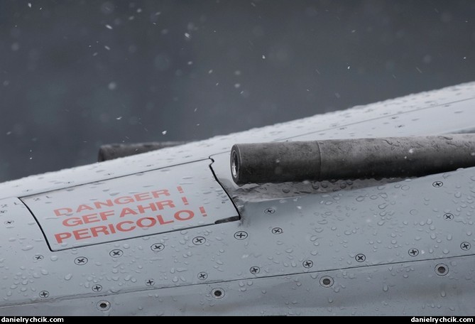 F-5E detail