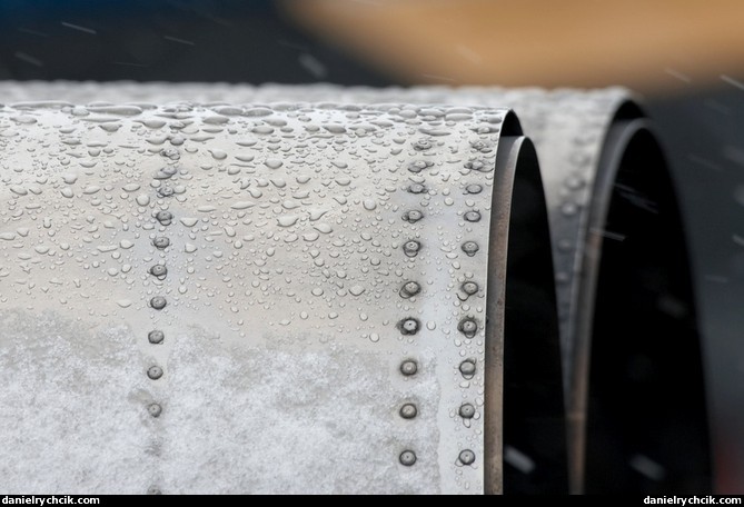 F-5E detail