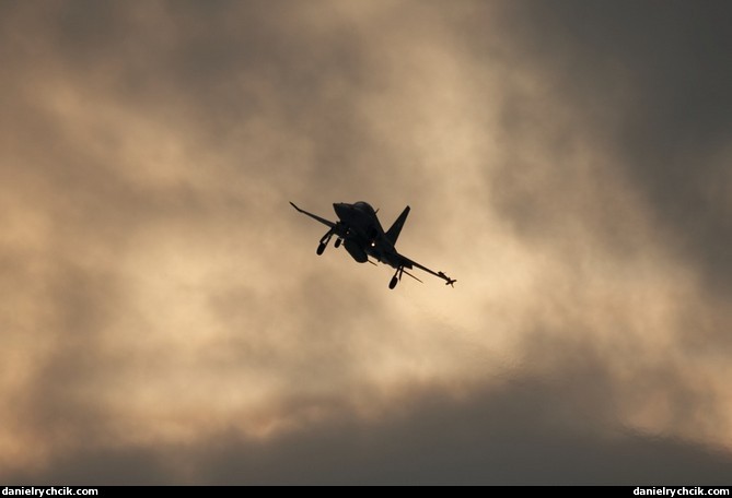 Northrop F-5E Tiger II