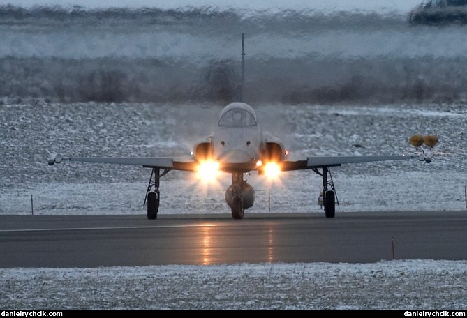 Northrop F-5E Tiger II