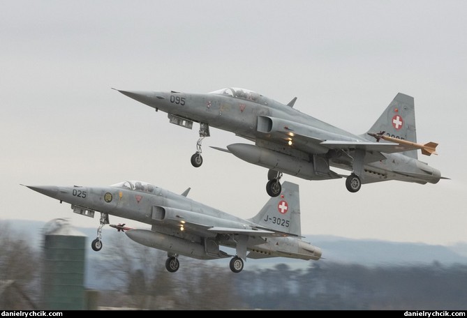 Pair of F-5E Tiger II