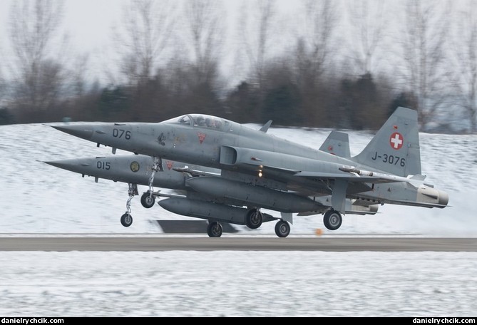 Pair of F-5E Tiger II