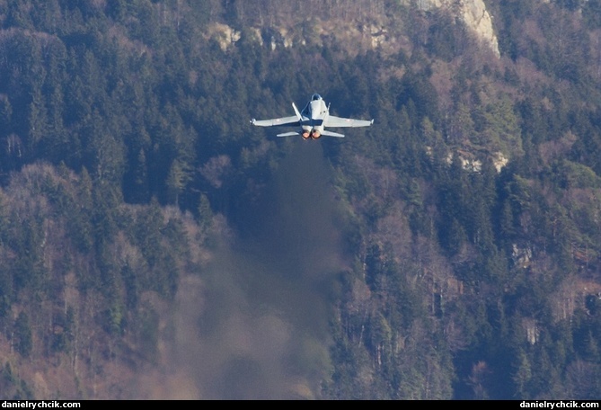 McDonnell Douglas F/A-18C Hornet