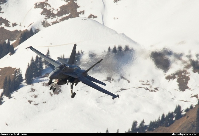 McDonnell Douglas F/A-18C Hornet