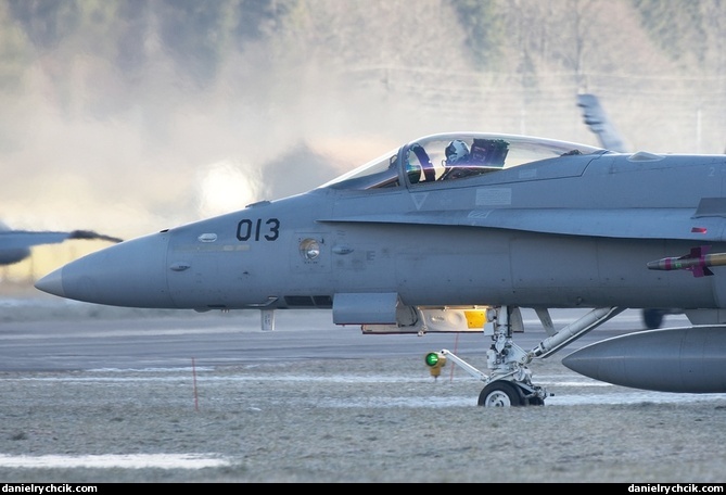 McDonnell Douglas F/A-18C Hornet