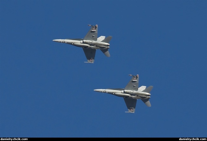 McDonnell Douglas F/A-18C Hornet