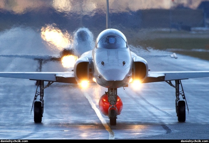 Northrop F-5E Tiger II