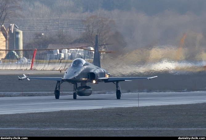 Northrop F-5E Tiger II