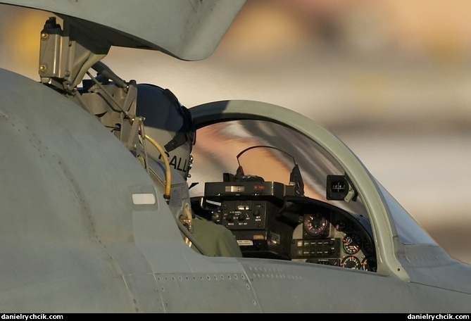 Canopy of a F-5E Tiger