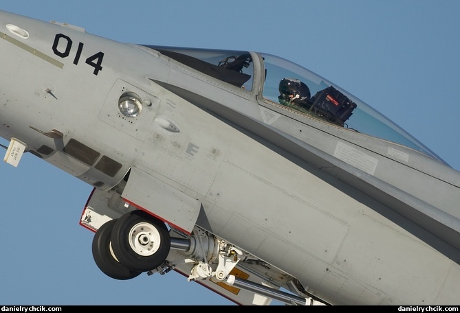 McDonnell Douglas F/A-18C Hornet