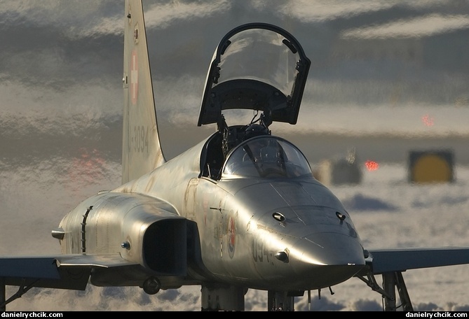 Northrop F-5E Tiger II