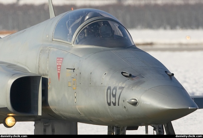 Northrop F-5E Tiger II