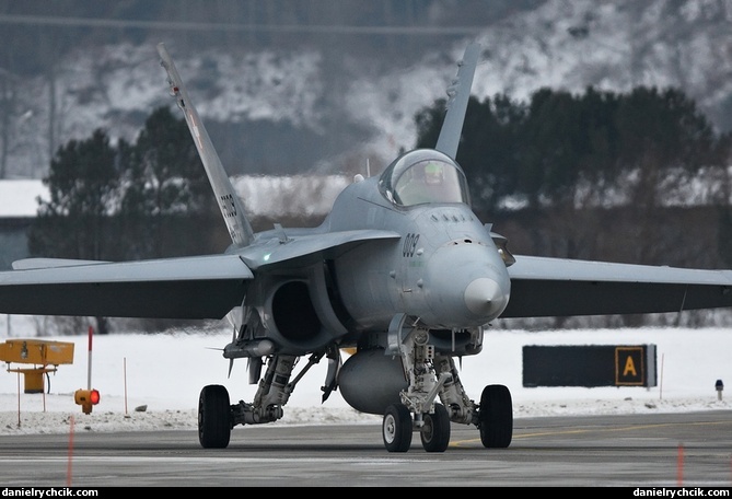 McDonnell Douglas F/A-18C Hornet