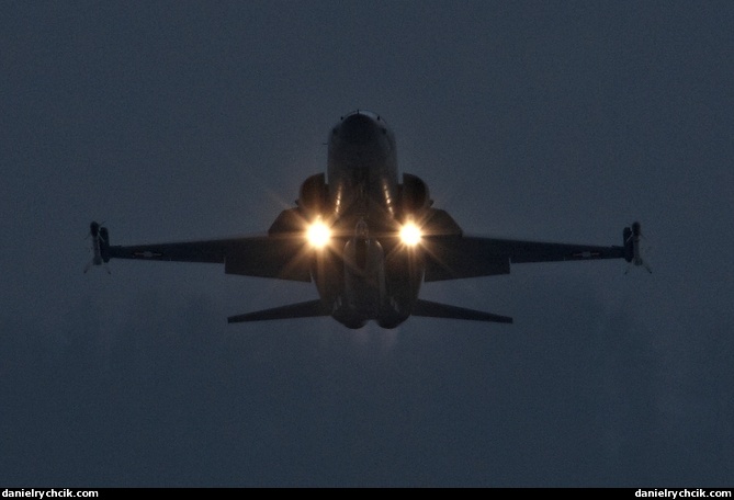 Northrop F-5E Tiger