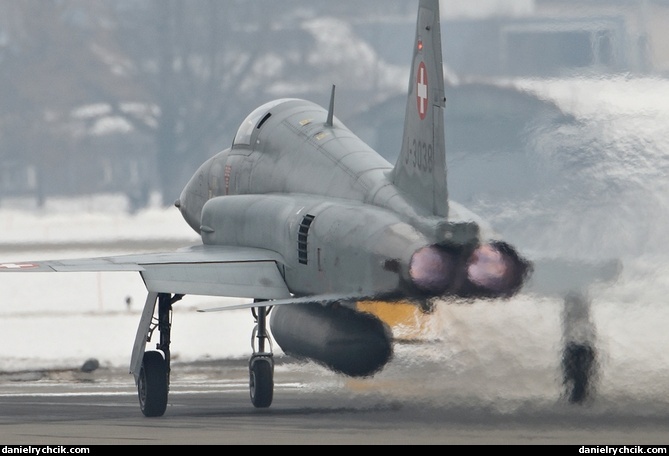 Northrop F-5E Tiger