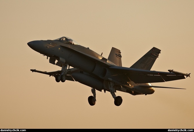 Spotters watching a F-18 Hornet taking off for a WEF mission