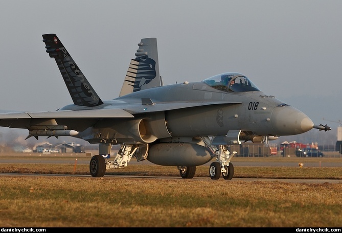 F/A-18C Hornet 'Panthers' rolling on the Payerne taxiway