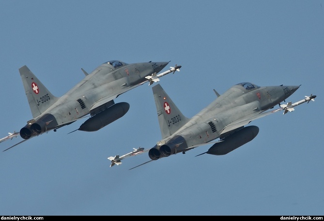 Two F-5E Tigers over the Payerne airbase