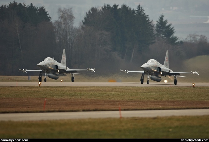 Two F-5E Tigers taking off for a WEF mission