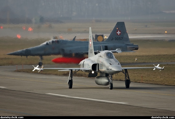 Two F-5E Tigers returning to their hangars