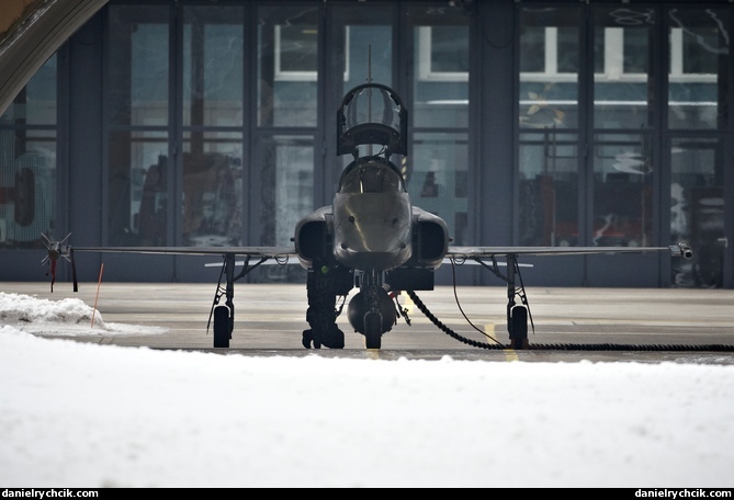 Northrop F-5E Tiger