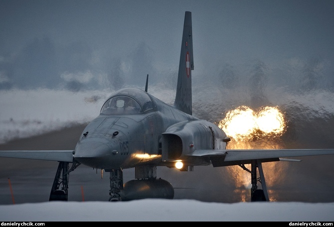 Northrop F-5E Tiger