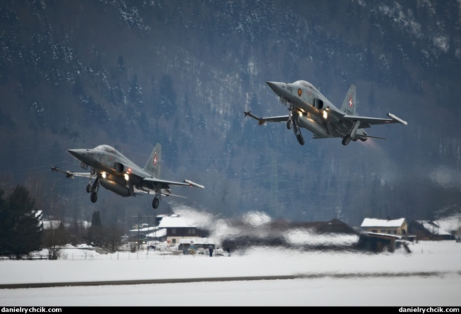 Northrop F-5E Tiger