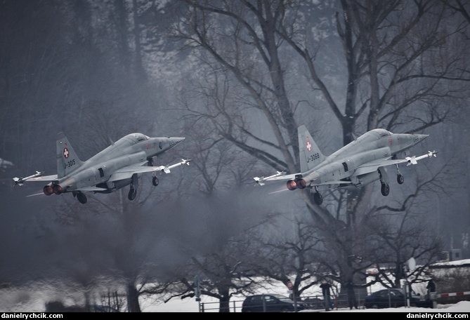 Northrop F-5E Tiger