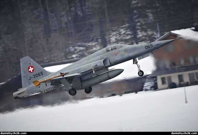 Northrop F-5E Tiger