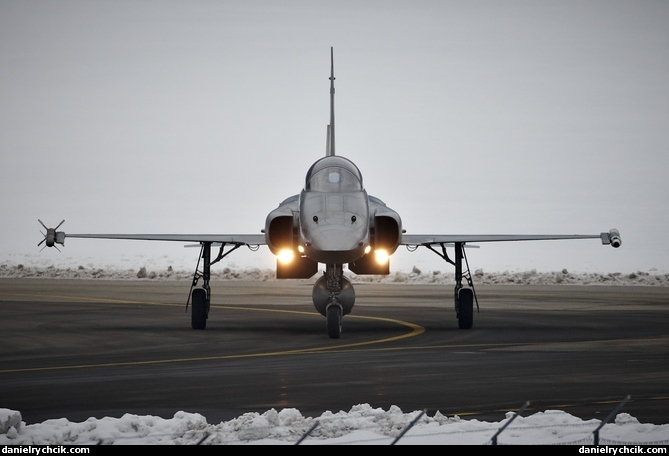 Northrop F-5E Tiger