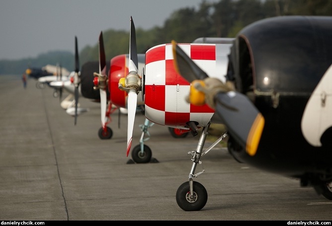 Yak-52 lineup on static display