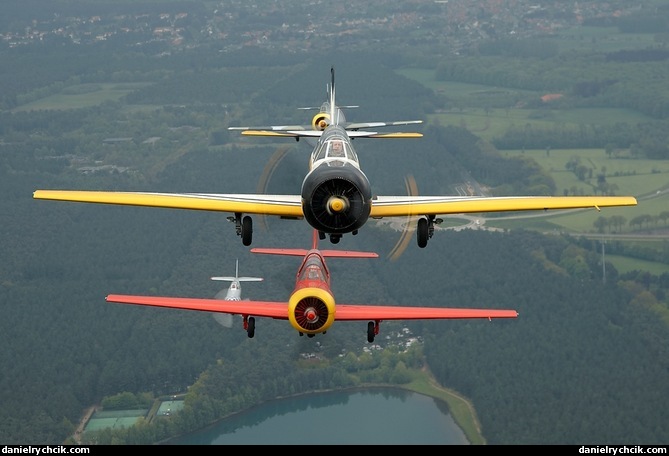 Yak-52 formation