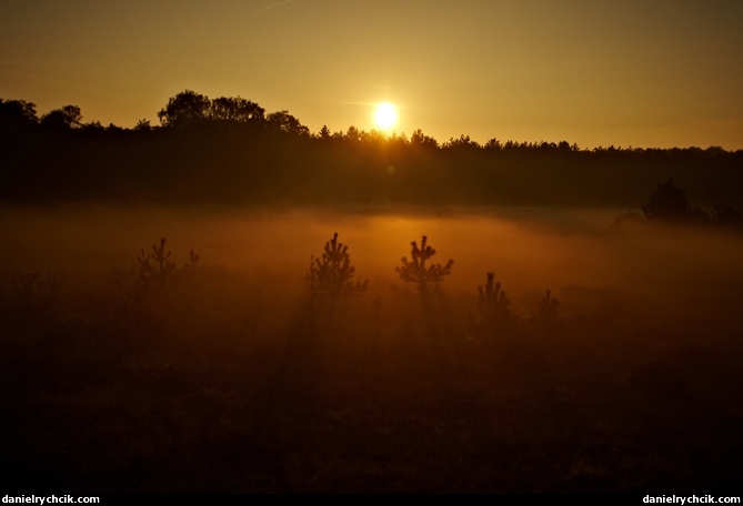 Morning ambiance